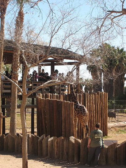 2nd Birthday at the zoo 32.JPG